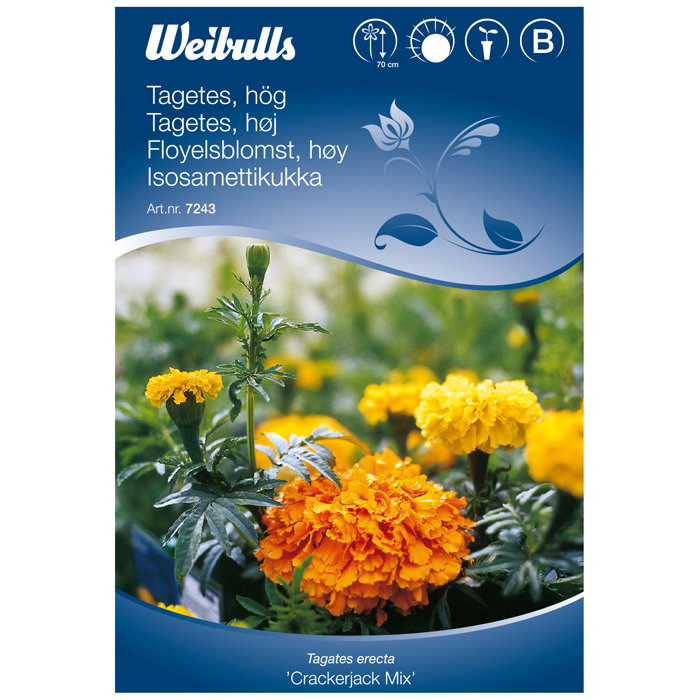 Frö Tagetes 'Crackerjack Mix' Weibulls